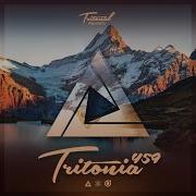 The Center Tritonia 459