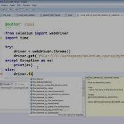 Find Element By Tag Name In Selenium With Python