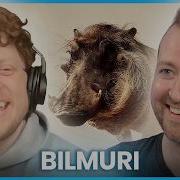 Подробный анализ каждой песни с альбома Bilmuri KINDA HARD