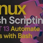 Automate Tasks With Bash Backup Scheduling With Cron Jobs