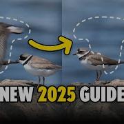 Remove ANYTHING From A Photo In Photoshop 2025