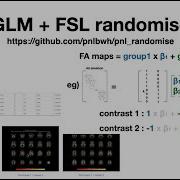 Tutorial GLM FSL Randomise And How To Summarize Results
