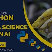 Master Python Keywords Identifiers In 2024 Complete Guide
