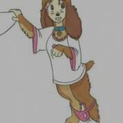 Dog TF S