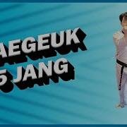 Taegeuk 5 JANG Taekwondo Poomsae Martial Arts Pattern