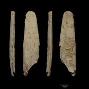 Bone Tools Discovery Explodes Myth Of Unskilled Neanderthals