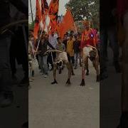Two Monkey Public Comedy Hanuman Trending Shortvideo
