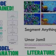Segment Anything Model Explanation With Code