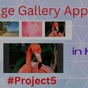 Image Gallery App Using HTML CSS And JavaScript In Hindi Project6 JS Projects For Beginners