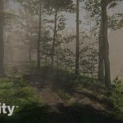 Create A Forest Path With God Rays In Unity Engine