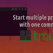 Start Multiple Process With One Command