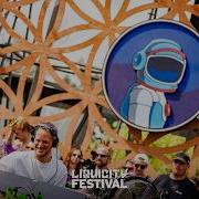 A Flex Liquicity Festival 2025