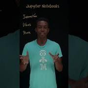 What Are Jupyter Notebooks