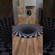 Dogs Funny Reaction To Entering Optical Illusion Rug Shorts
