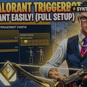 BEST Valorant Triggerbot In 2026 Get Radiant Easily Full Setup