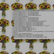 DrJava Using Jar File