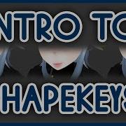 Shapekeys Custom VRChat Expressions In Blender 5 Minute Miniseries