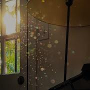Auni Twinkling Lights Reimagined Official
