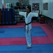TAEKWONDO 7 DAN POOMSAE CHONKWON By GMASTER ANDRE LIMA WT KUKKIWON