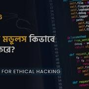 Day 16 Python For Hacking In Bangla প ইথন মড লস ক ভ ব ক জ কর Python Modules