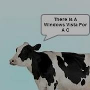 Cow Error 225