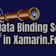 Xamarin Forms ListView CollectionView Data Binding Explained