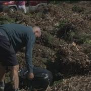 Staffing Issues Prompt Waste Management To Stop Yard Waste Pick Up In 7 Cities