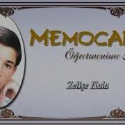 Memocan Zelişe Hala