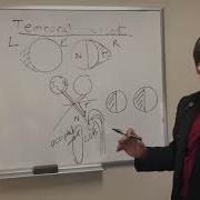 Visual Fields In Neuro Op Temporal Crescent