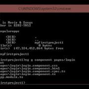 Using Angular CLI How To Create Component