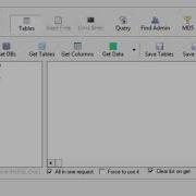 047 Sql Injection Using Havij