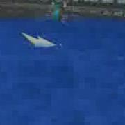 Summon Stormshark Wizard101