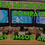 Andonstar AN249 Vs Linkmicro LM249 Vs TOMLOV DM602 Digital Microscope Comparison Episode 2