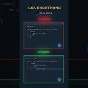 Junior Vs Senior Developer Programming Html Javascript Webdevelopment Html5 Webdesign Css3