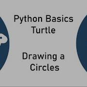 Python Turtle Basics Drawing Circles Loops And Circle Command