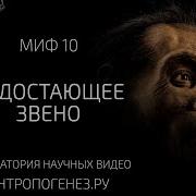 Недостающее Звено Мифы об эволюции человека