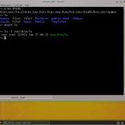 Linux Essentials L02 1 Command Line Basics