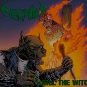 Thrash Till Death