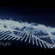 After Effects Audio React F O O L Nigthum Dubstep