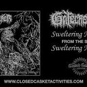 Gatecreeper Sweltering Madness