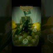 When You Re The Wife Of A Hell Commander You Have To Celebrate When You Can Helldivers2