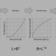 A Brief Discussion Of Gamma In Display And Visual Systems