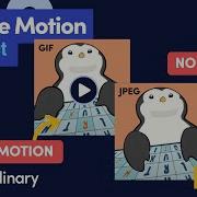 Reduce Motion Of Images In React Dev Hints