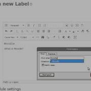 Moodle TinyMCE Text Editor Row 3