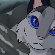 Feathertail Amv WORK IN PROGRESS
