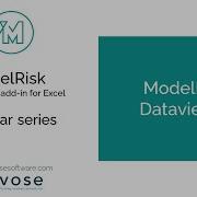 ModelRisk Dataviewer