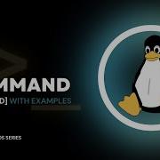 Stop Using Ls The Wrong Way In Linux Detailed Guide With Examples