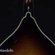 Weber Fine Acoustic Instruments Fern A Mandolin