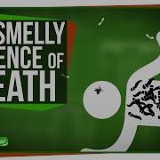 The Strange Smelly Science Of Decomposing Bodies