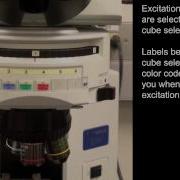 Basics Of Fluorescence Microscopy